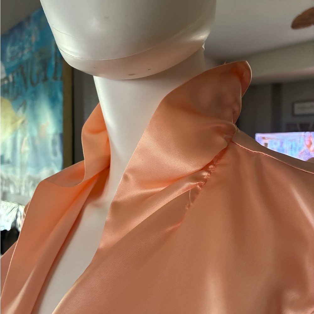 Chic Peach Satin Evening Dress - Picture 8 of 9